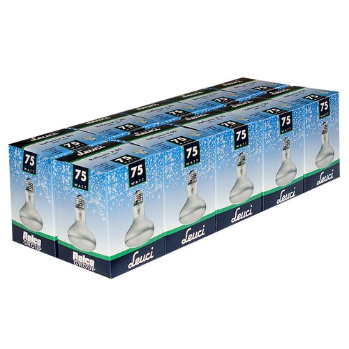 10x lampadina leuci riflettore - lampadina,